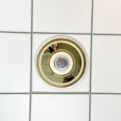 Module d'ionisation DC12V pour générateur d'ions négatifs de lampe 8KV OEM